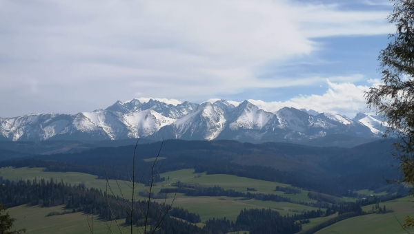Zdjęcie miesiąca MAJ